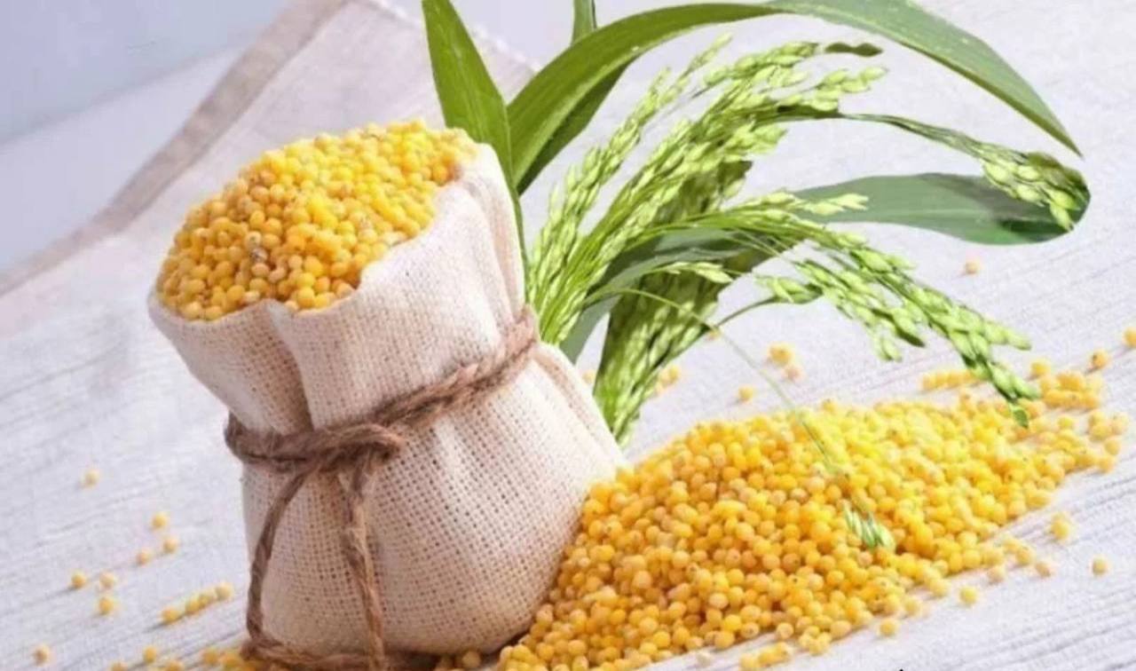 Proso — dawny i bardzo wartościowy produkt zbożowy